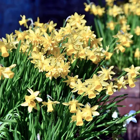 Finest Retreats - Stable