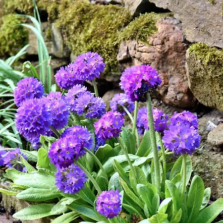 Ferienhaus Finest Retreats - Stable Bellerby